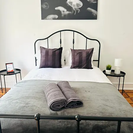 Luxury Next Attractions And Station *